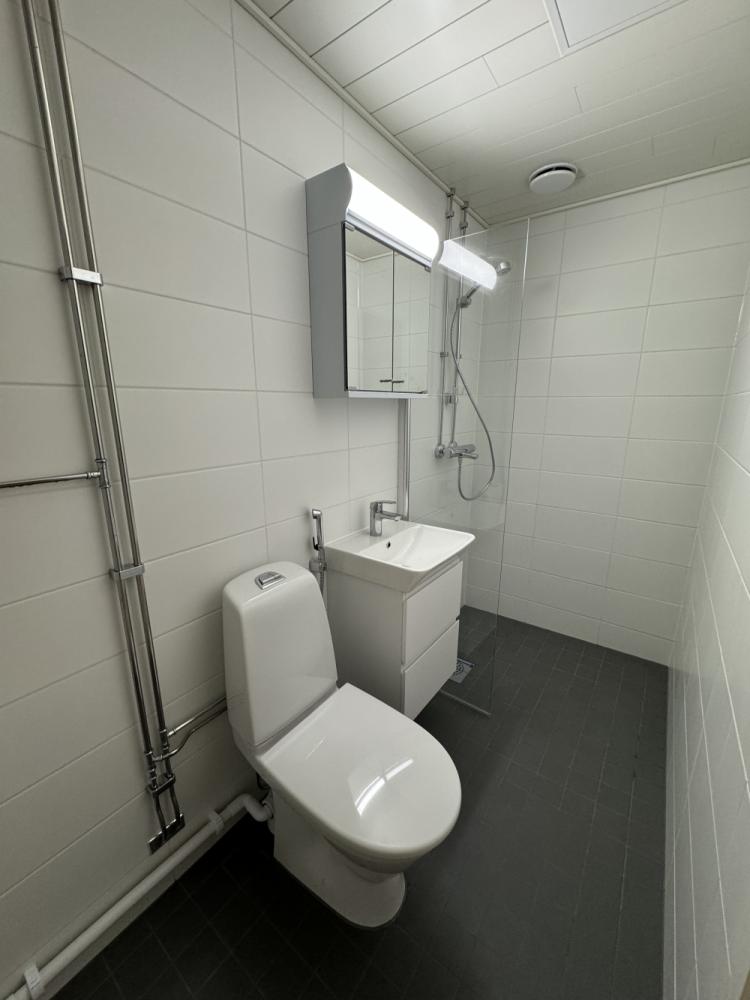 Putkiremontin yhteydessä saneerattiin kylpyhuone kokonaisuudessaan