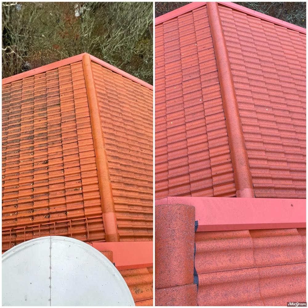 200 m² katon puhdistus ja sammalkäsittely