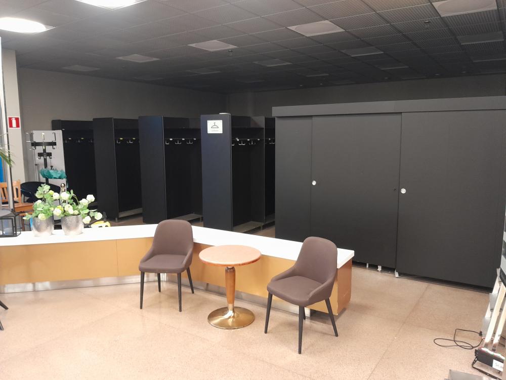 Eteisnaulakoiden maalaus