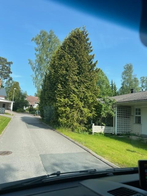 Puiden kaato/ kantojen jyrsintä