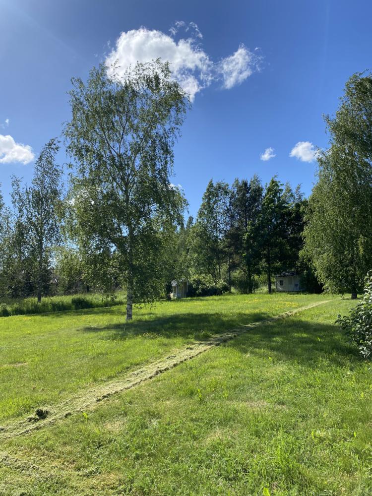 Nurmenajot sekä raivaussahaus/ siimaleikkaus työt