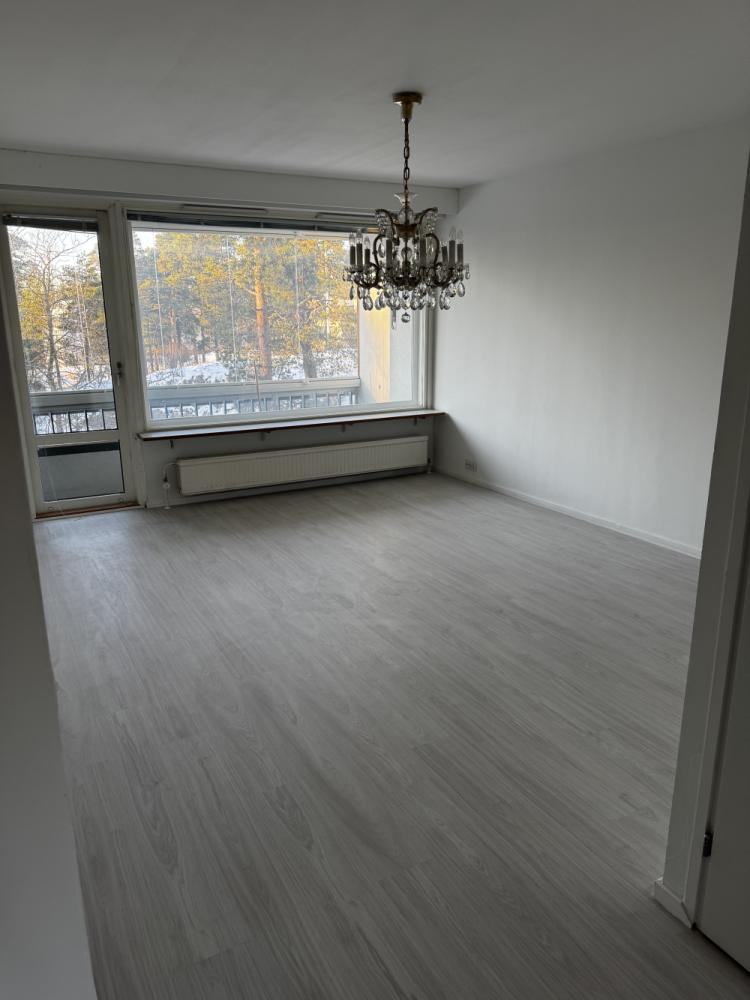 Kolmion lattian asennus sekä kattojen ja seinien maalaus