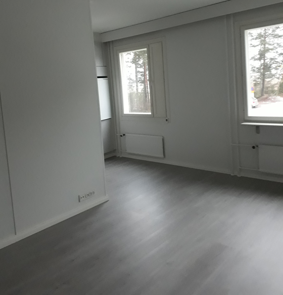 Yksiön pintaremontti