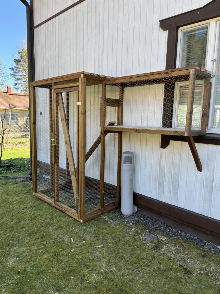 Kissa-aitauksen rakennus.