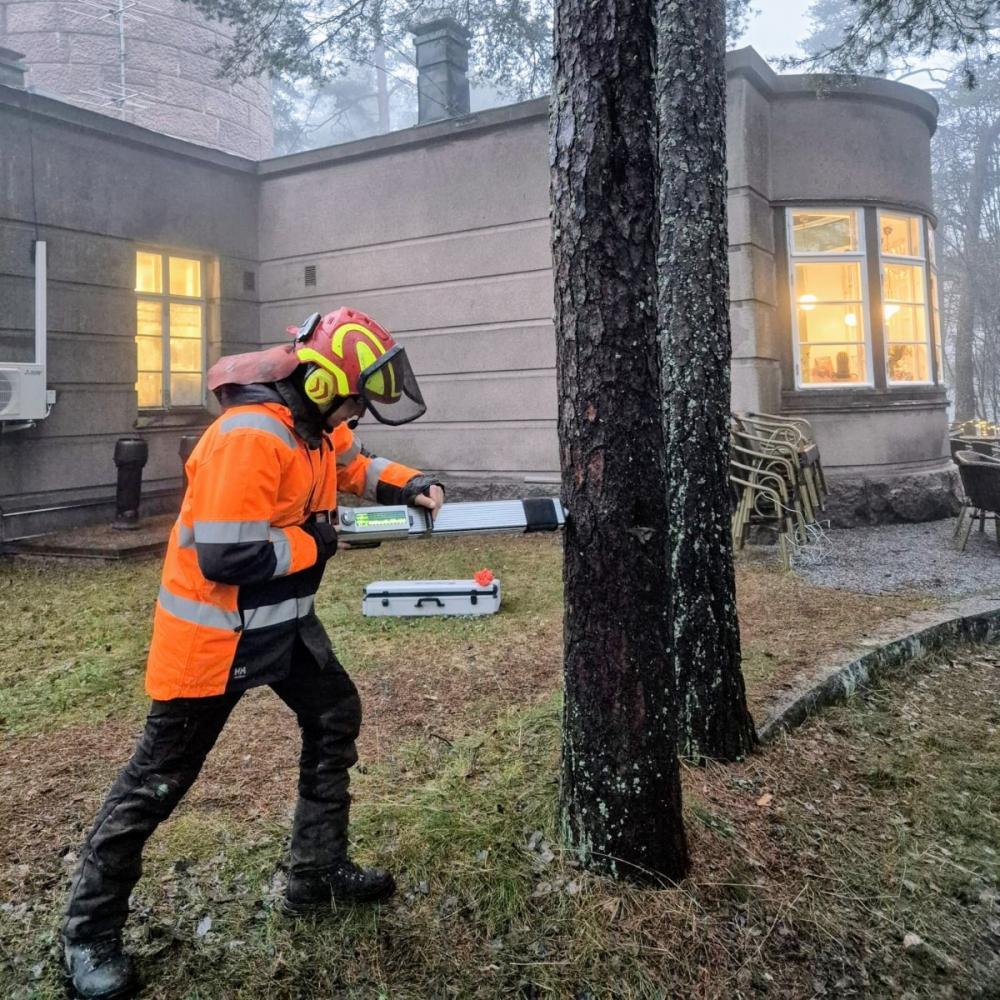 Puiden kuntoarviointi