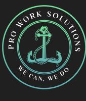 Pro Work Solutions Oy logo