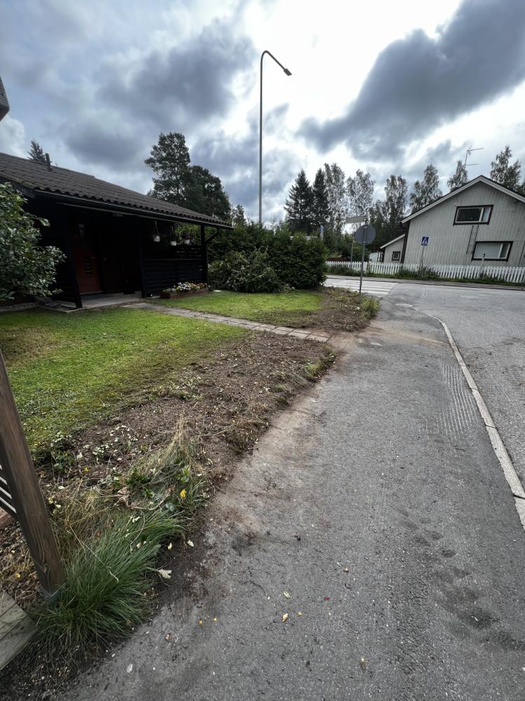 Orapihlaja aidan leikkuu ja juurien kaivuu.