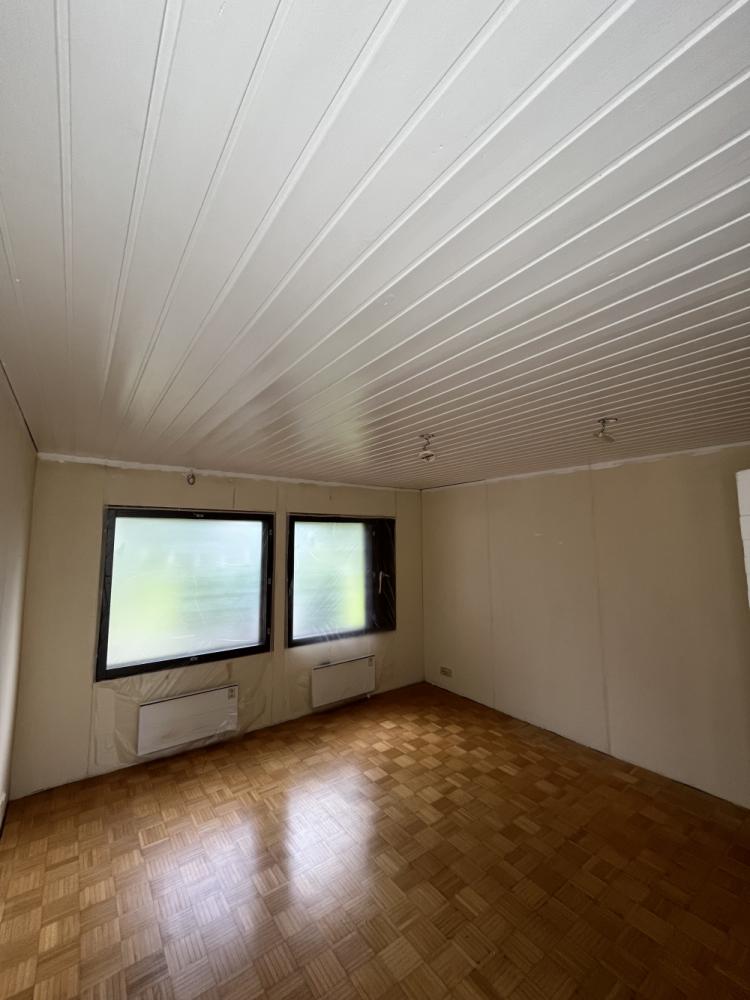 Puupaneelikattojen maalaus