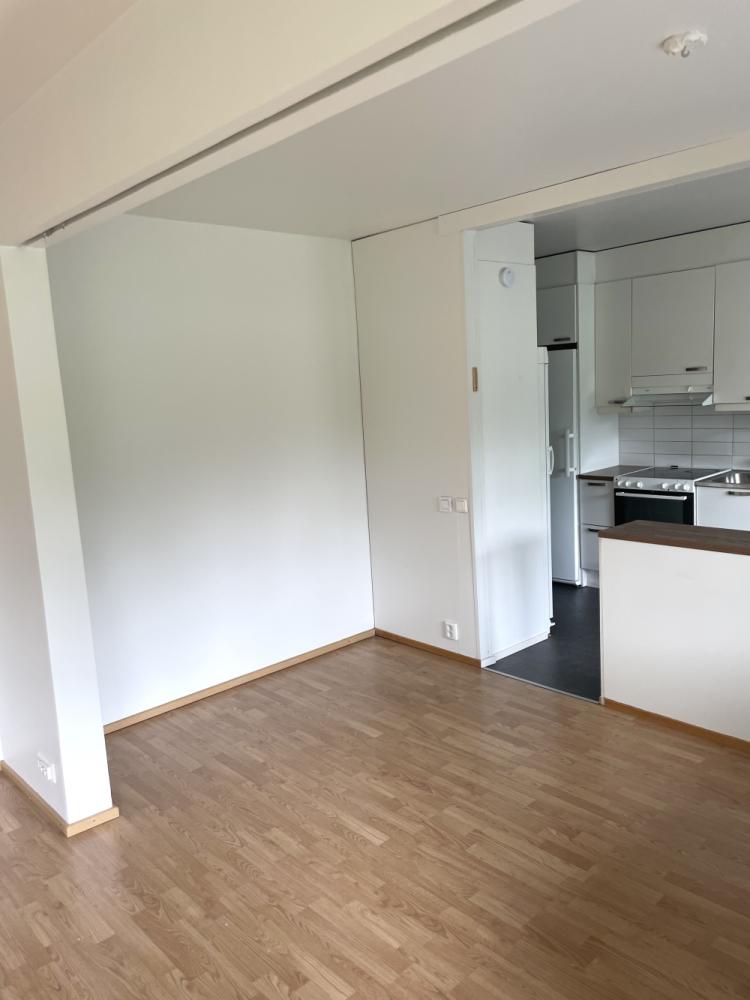 100m2 asunton seinien ja katon maalaus