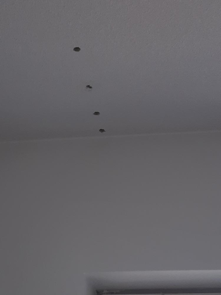 onko katossa reikiä? Ei hätää pystyn korjaaman ilman tarvetta maalata koko kattoa.