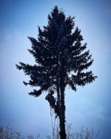 PuunKaato Kvist logo