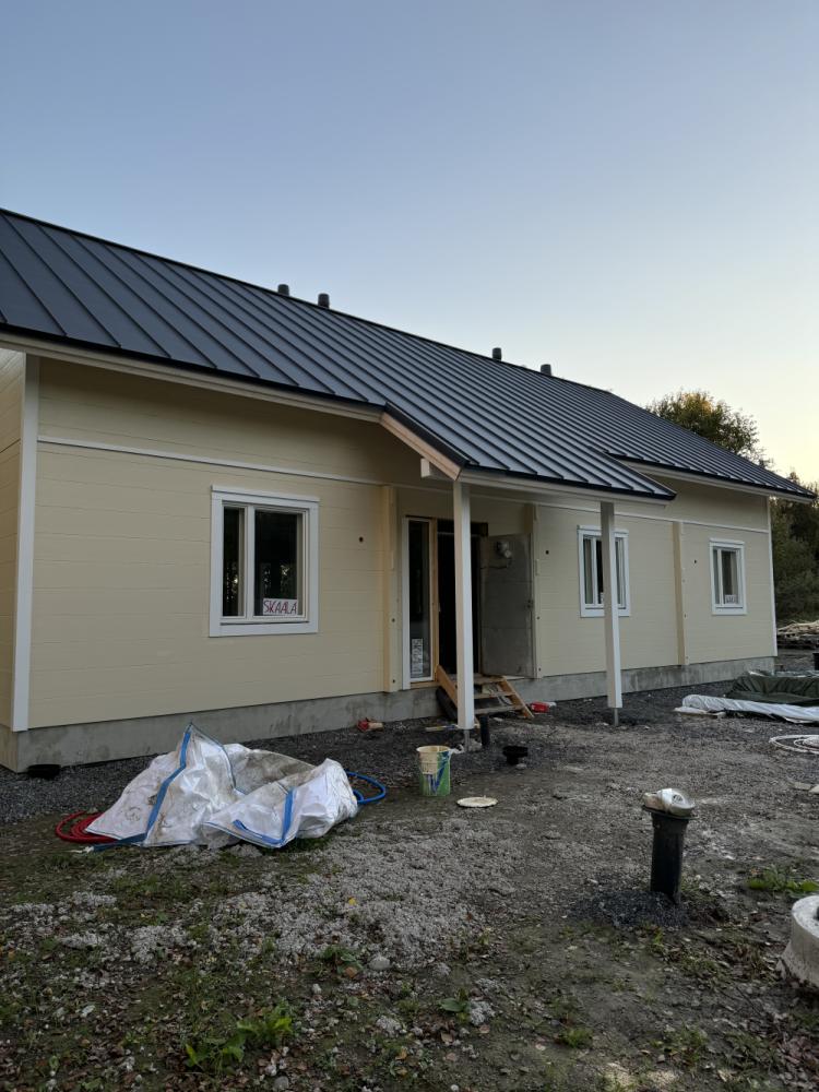 Uuden hirsitalon maalaus