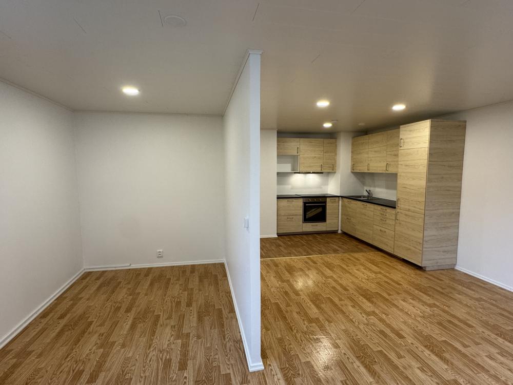 Kerrostalo kattoremontti ja keittiö remontti