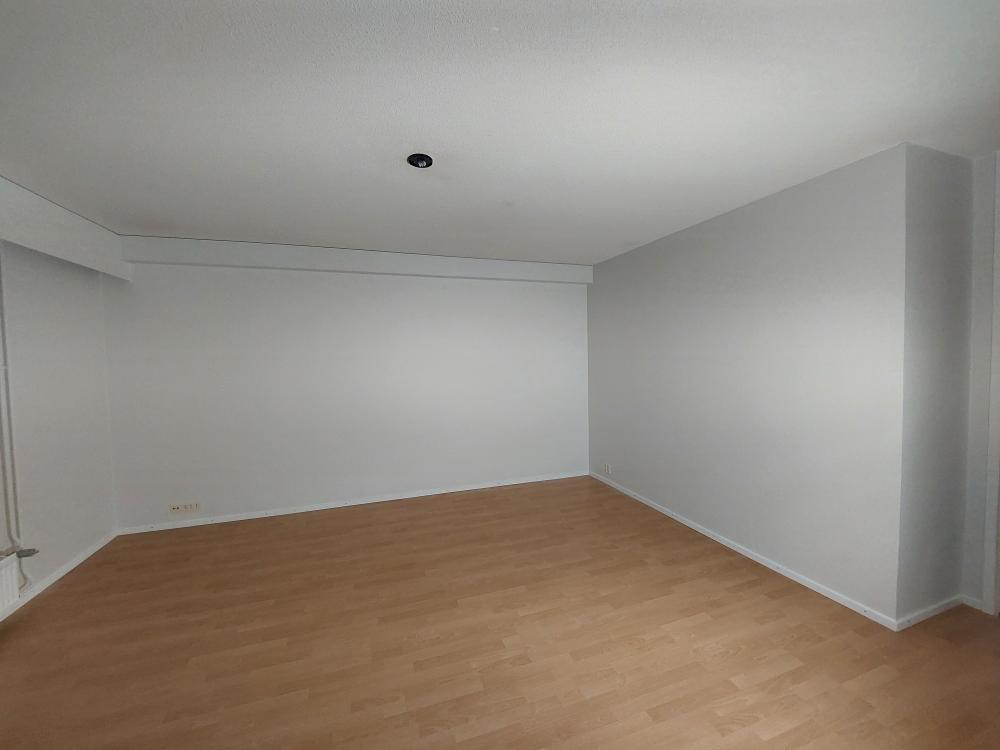 Rivitalohuoneiston kotelointimaalaus, tasoitus ja pintamaalaus, sekä listojen vaihto.