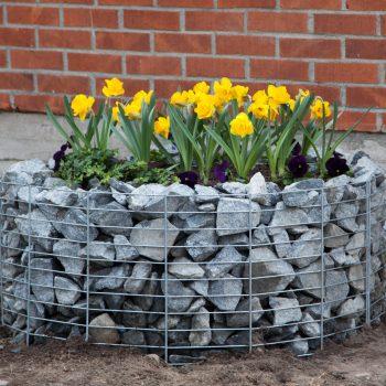 Istutusallas kivikoreista