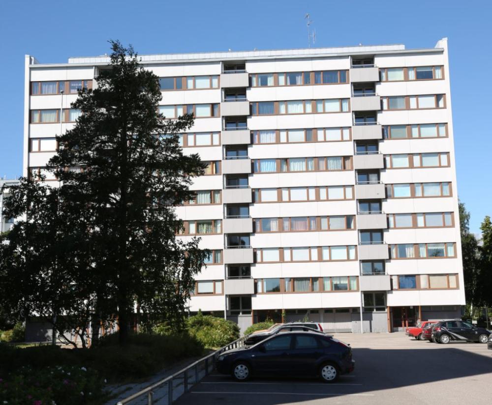 Linjasaneeraus. Valvontapalvelut