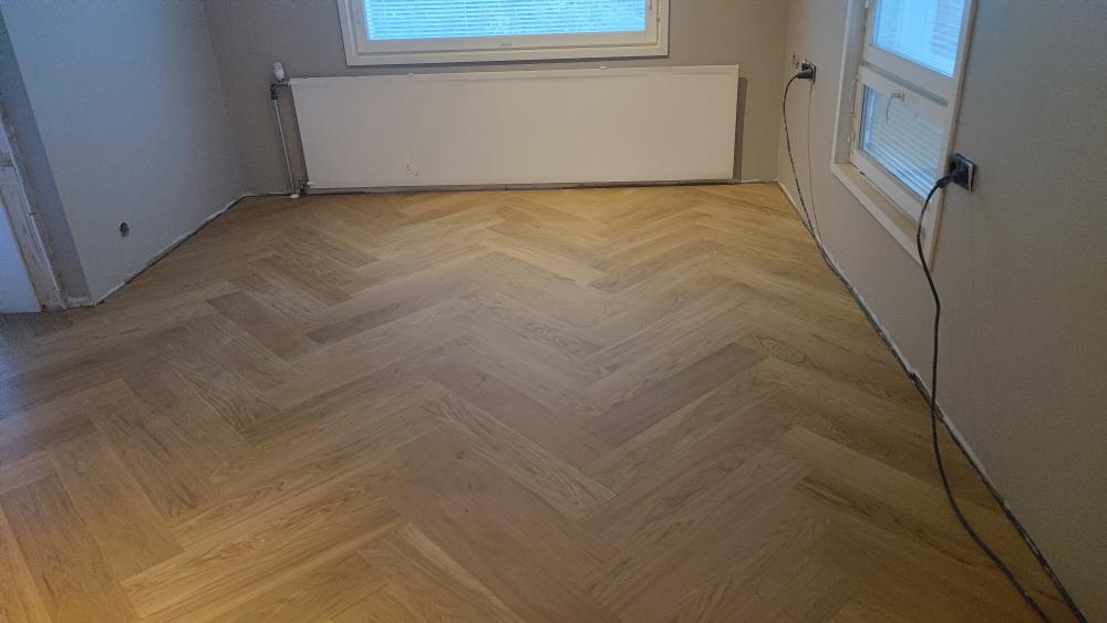 Erillisen kaksion remontti omakotitaloon (kalanruotoparketti)