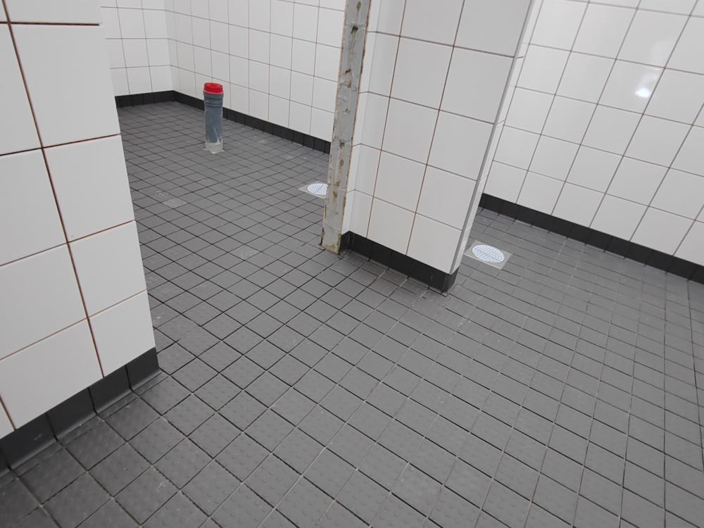 Suihkutian ja wc n Holkkalista laatoitus
