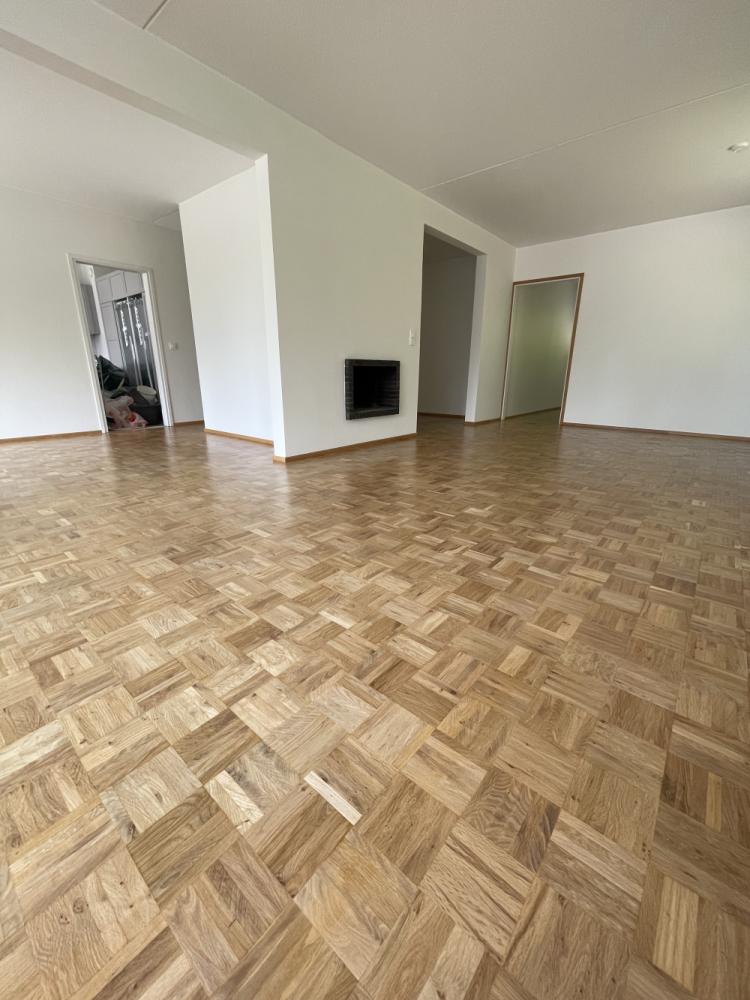 Lattian hionta/lakkaus/paikkaus - 100m2