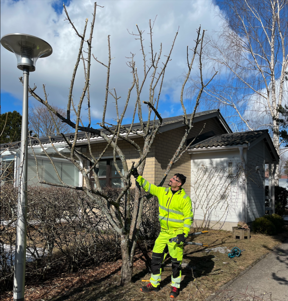 Puutarhatyöt ikäihmiselle – apua ja kunnioitusta arjessa
