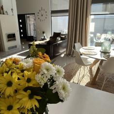 urakoitsijan taustakuva