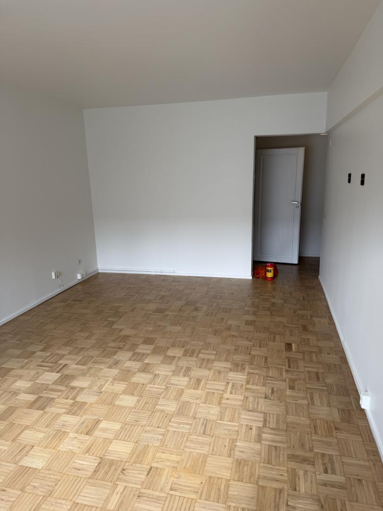 46m2 kaksion pintaremppa