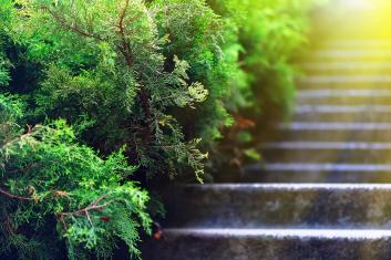 urakoitsijan taustakuva