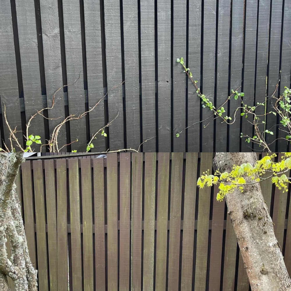 Rivitalon aitojen korjaus ja maalaus – noin 1000 m² kokonaisuus