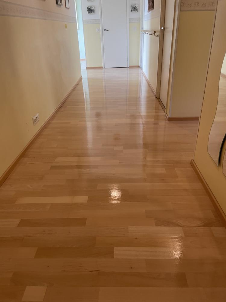 parketin hionta lakkaus 30m2