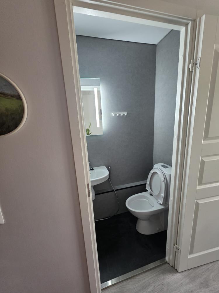Erillis-WC remontti.
