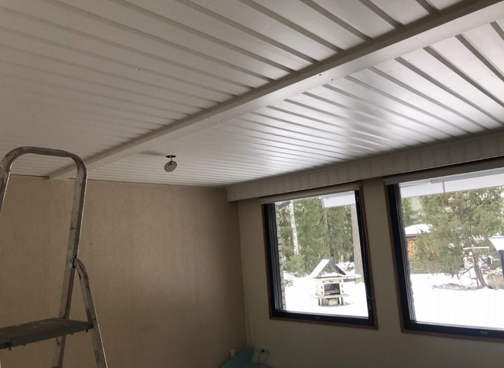 Paneelikaton maalaus