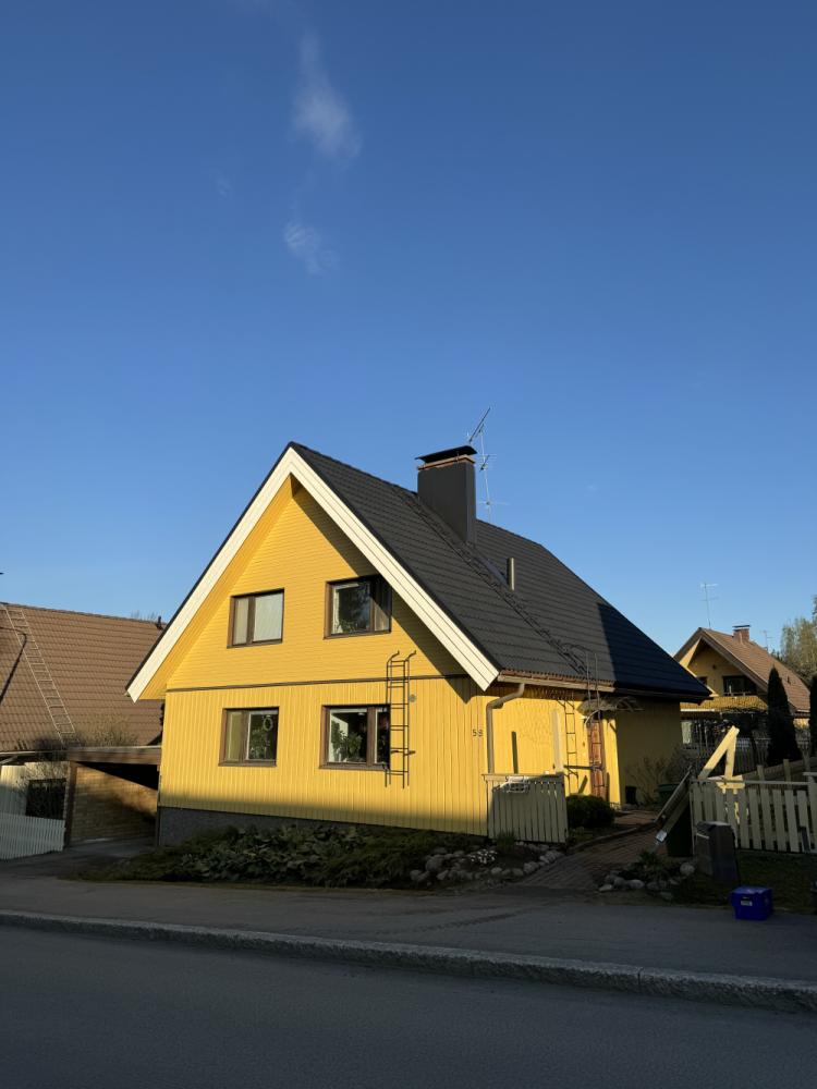 Katonpinnoitus sekä julkisuvumaalaus