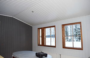 Paneelikattojen ja -seinien maalaus Lapinlahdella