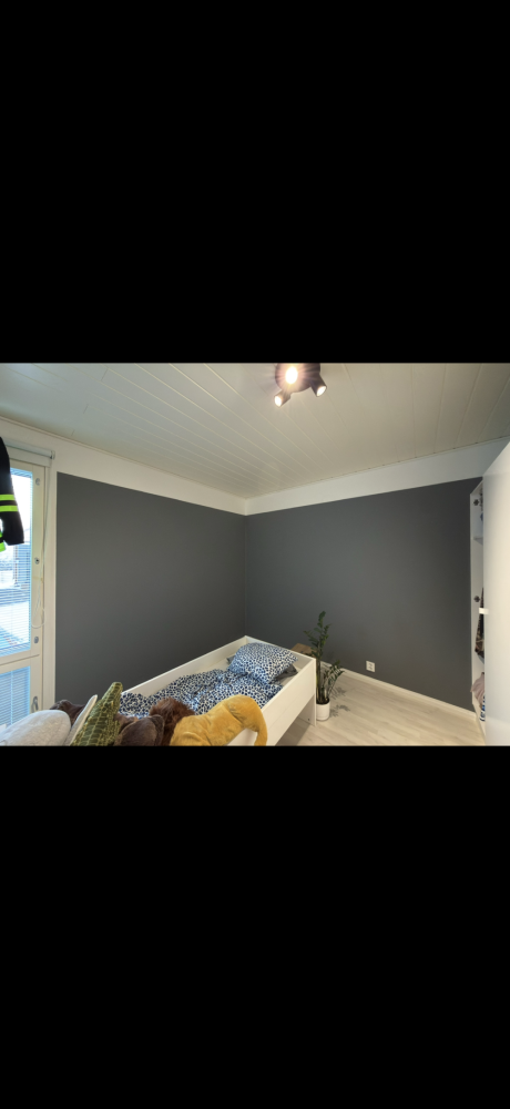 Tehosteseinien huoltomaalaus